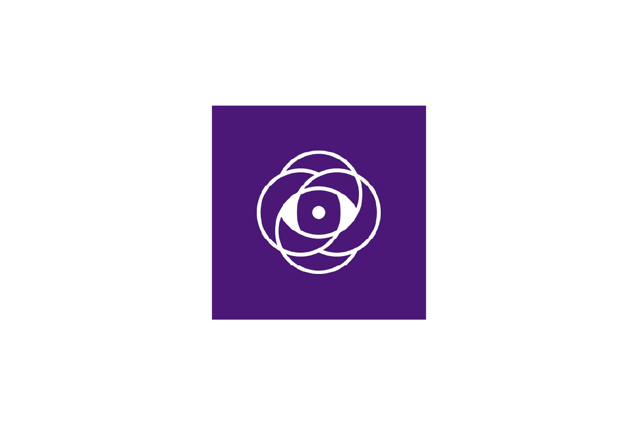 Visionarias